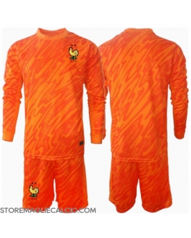 Francia Portiere Maglia Gara Trasferta Repliche Europei 2024 Bambino Maniche Lunghe